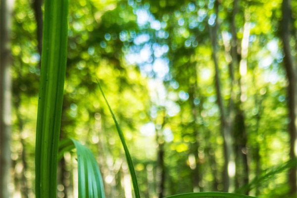 能耗監(jiān)測(cè)系統(tǒng)的系統(tǒng)開(kāi)發(fā)需求之系統(tǒng)性能需求！